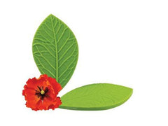 Poppy Leaf Veiner - JR