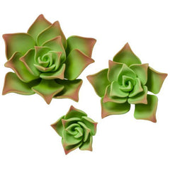 Succulents - Green - Set of 3