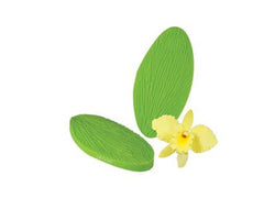 Cattleya Orchid Leaf Veiner - JR