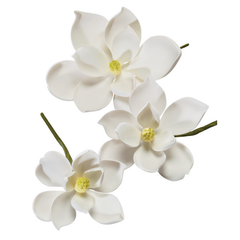 Magnolia Assortment - Gum Paste