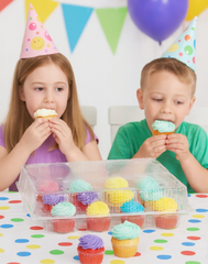 Plastic - 24 Cavity Cupcake Carrier