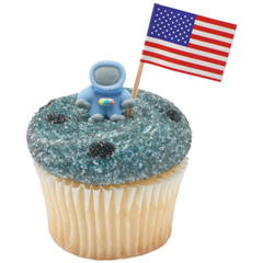 Space Royal Icing - 100 count - bulk