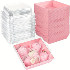 Charcuterie Boxes w/Clear Secure Lids 12ct / 24ct