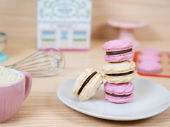 Gluten-Free Rosette Macarons Activity Kit