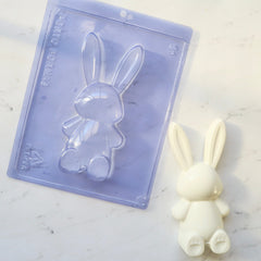 EASTER BUNNY CHOCOLATE MOLD