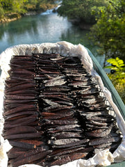 Guatemala Vanilla Beans - Whole Grade A Vanilla Pods for Vanilla Extract and Baking