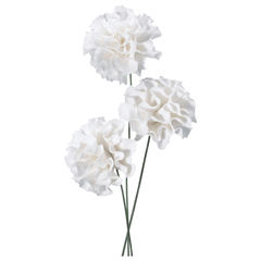 White Carnation - Gum Paste Flowers