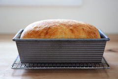 Beginner Bread Class - Basic - February 1st - 11:00 to 5:30pm