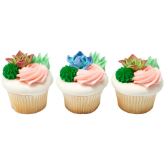 Succulents - Purple - Box of 12 - Bulk