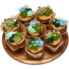 Succulents - Purple - Box of 12 - Bulk