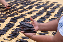 Guatemala Vanilla Beans - Whole Grade A Vanilla Pods for Vanilla Extract and Baking