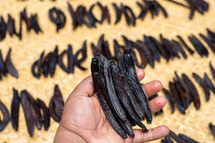 Guatemala Vanilla Beans - Whole Grade A Vanilla Pods for Vanilla Extract and Baking