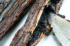 Burundi Vanilla Beans - Whole Grade A Vanilla Pods for Vanilla Extract and Baking