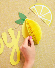 Happy Birthday Lemon Banner - lemon birthday banner