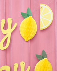 Happy Birthday Lemon Banner - lemon birthday banner