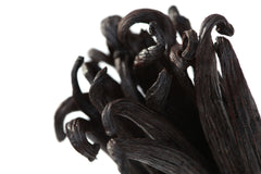 Ecuadorian Vanilla Beans - Whole Grade A Pods for Baking and Extract Making