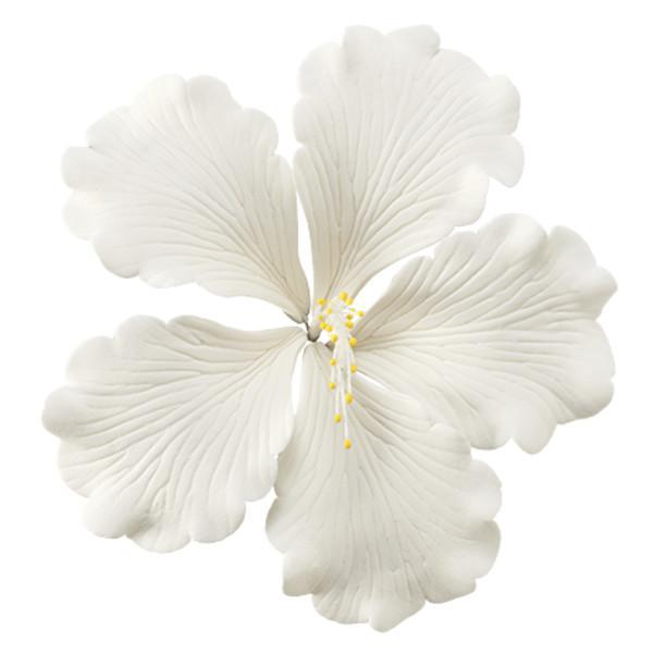 Hibiscus - White - 4" - Single Flower