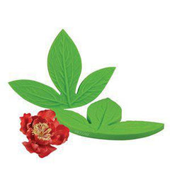 Peony Leaf Veiner - JR