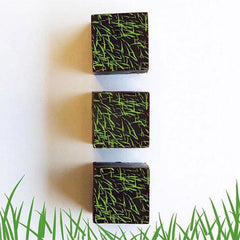 Chocolate Transfers - Grass Blades