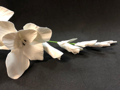 Gladiolus Flower Cutters -   Set of 6