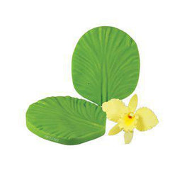 Cattleya Orchid Petal Veiner - JR