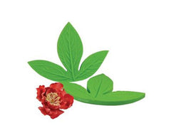 Peony Leaf Veiner - JR