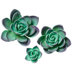 Succulents - Purple - Box of 12 - Bulk