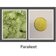 Parakeet - Aurora Series Luster Colors