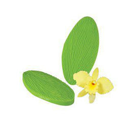 Cattleya Orchid Leaf Veiner - JR