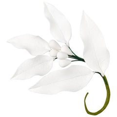 Leaves & Buds Sprig Stem - Box of 18