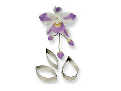 Cattleya Orchid - Set of 3