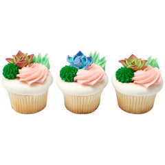 Succulents - Purple - Set of 3