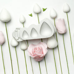 Rose Cones & Thorns Silicone Mould