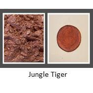 Jungle Tiger - Aurora Series Luster Colors