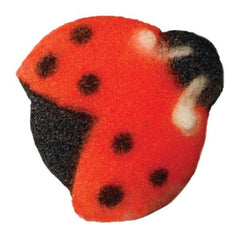 Lady Bugs Decon - 12 ct.