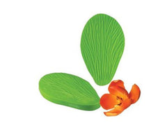 French Tulip Veiner - JR