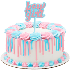 Boy or Girl Pick - 6 pkg - Bulk
