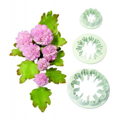 Carnation - Set of 3