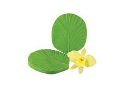 Cattleya Orchid Petal Veiner - JR