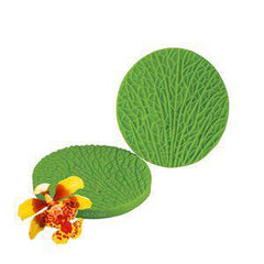 Oncidium Petal(Throat) Veiner - JR