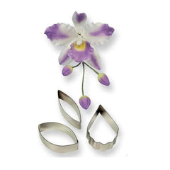 Cattleya Orchid - Set of 3